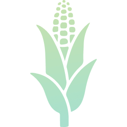 Grains