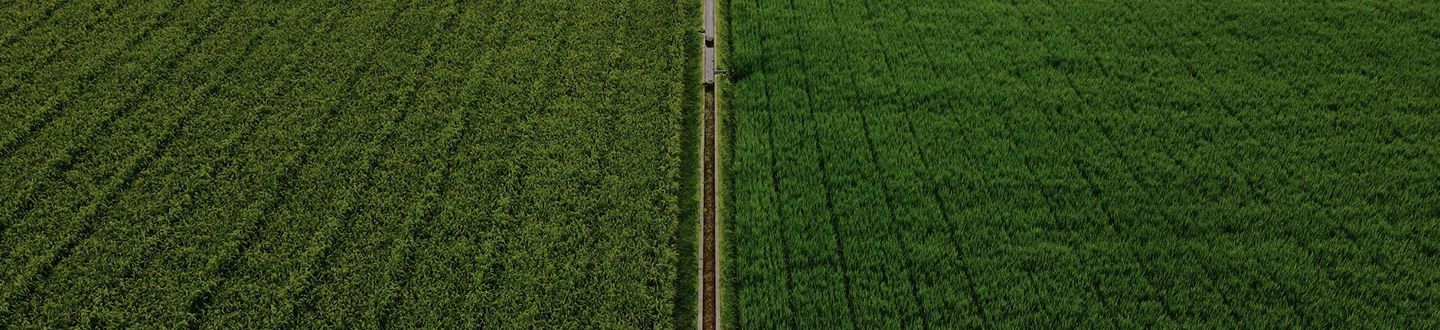 Field
